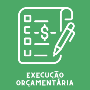 texto execução orçamentária com figura na cor branca e fundo verde claro